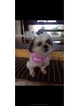 ルアナ(LUANA)&nbsp;愛犬くうちゃん♪可愛いなぁ☆