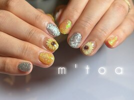 定額マンスリー/フィルイン
