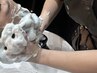 【頭皮スッキリ!】炭酸ヘッドスパ+シャンプー+ブロー◆5830円(60分)