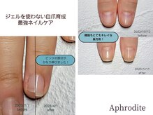 アフロディーテ(Aphrodite)の雰囲気（ジェルを使用しない自爪育成コース♪3ヵ月で自然で強い美爪に！）