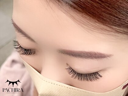 パキラ(Pachira)の写真