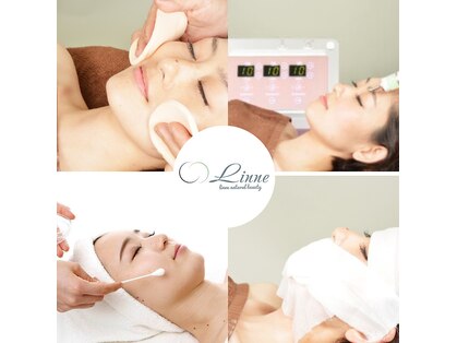 リンネ(Linne)の写真