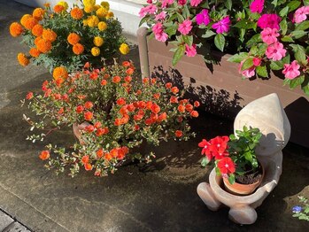 お店の外観 &nbsp;お花