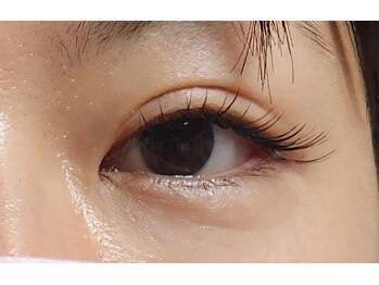 ジャポネスク(JAPONESQUE)/カールMIX