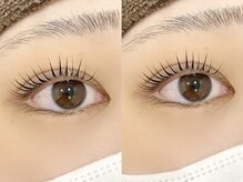 シピ ラメゾン 柏(Chipie La Maison)/束感/ラッシュリフト