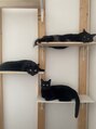 エイトカラーズラボ(8colours Lab) 保護猫の黒ニャンズ