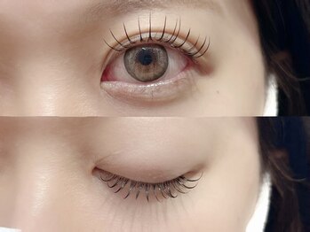 アイランド トーキョー(ISLAND TOKYO)/パリエク80本