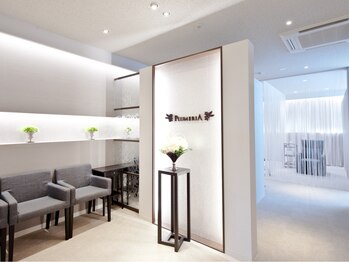 医療提携サロン プルメリア 久留米上津バイパス店(PLUMERIA)/受付