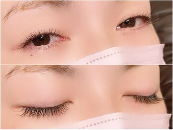 アイラッシュサロン シェリ(cheri)/【フラットブラウン 120本】