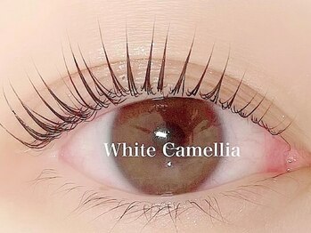 ホワイトカメリア(White Camellia)の写真/【20時最終受付】自まつ毛派/逆まつ毛の方には《話題のパリジェンヌラッシュリフト》で理想のパッチリeye♪