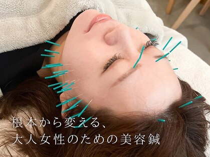 アオイ(Aoi)の写真