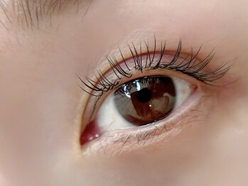 ハル 豊中本店(HAL)/フラットラッシュ120本