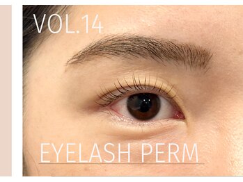 トミー(Tommy)/まつげパーマ