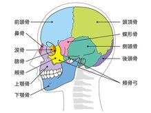 ブプラ 八重瀬店(BUPURA)/頭蓋骨の歪みチェック！
