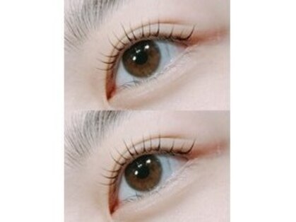 ニーム(NEEM)の写真