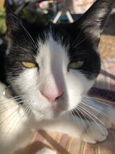 手もみ処 すっきり&nbsp;フクシマ 