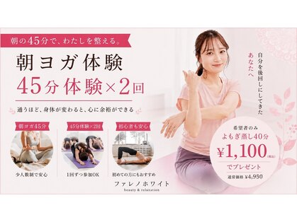 ファレノホワイトの写真