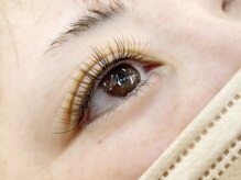 マリヤ(Mariya)/フラットラッシュ120本