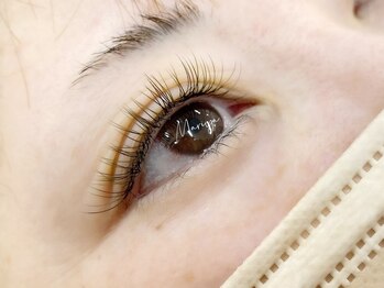 マリヤ(Mariya)/フラットラッシュ120本