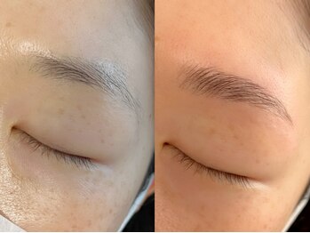 テラ アイラッシュ(TERRA eyelash)/＊ハリウッドブロウリフト＊