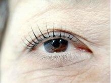 ベルアイラッシュ(Belleyelash)/【まつげパーマ】瑞江/まつげ