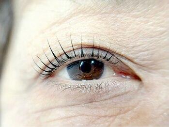 ベルアイラッシュ(Belleyelash)/【まつげパーマ】瑞江/まつげ