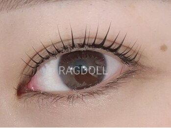 リュクス/立ち上げ