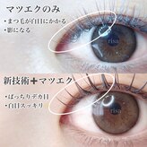 リリー(Lily)
