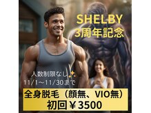 シェルビー(SHELBY)