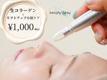 アミティ コーシー(amity cosy)