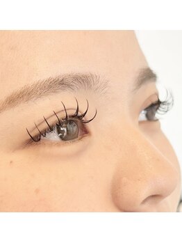 ホーム(HOME)/フラットダブル120本