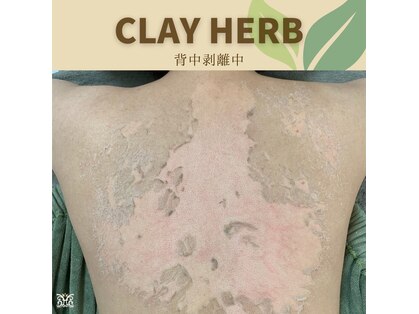 スリジエ ボーテ(cerisierBEAUTE)の写真