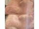 ハクビ(HAKUBI)の写真
