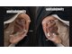 ウル ネイル(ulu nail.)の写真