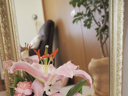 マジックポップ(magicpop)の写真