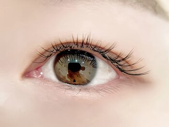 ハル 豊中本店(HAL)/フラットラッシュ