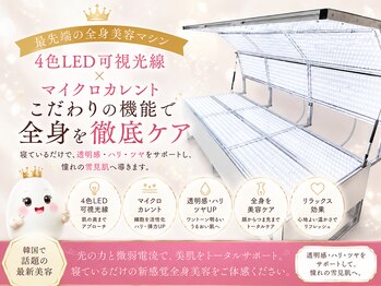 ロイヤルホワイトニング銀座 銀座本店の写真/【新橋駅徒歩3分/銀座駅徒歩10分】導入店舗わずか！日本で唯一の美白マシン専門サロン☆透明感ある雪見肌へ