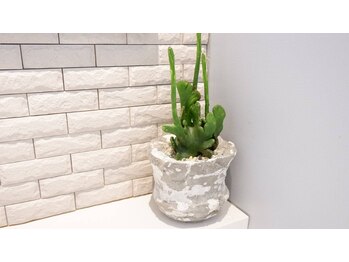 あおい鳥/化粧台にも植物