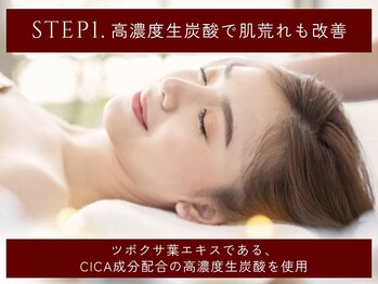 エステ ド フルール(Esthe de Fleur)/STEP1.高濃度生炭酸