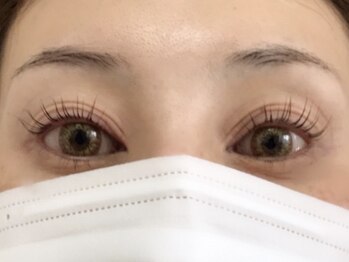 まつげエクステサロン クロエ(Chloe)/ロイヤルラッシュリフト