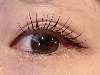 レミア 関内(REMIA)/8月 流し目風まつげパーマ