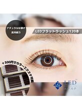 フレイヤ(Freiya)/