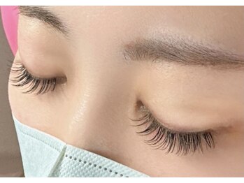 モモ(Momo)/シングル付け放題スタンダード