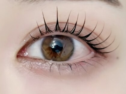 ビーブロウ(Bebrow)の写真
