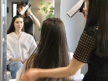 テラヌーベ(terra nube)