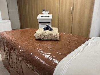 プラスワンビューティテン 新大阪店(Plus One Beauty)/施術ベッド(痩身)