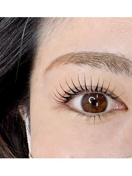 プリモアイラッシュ(Primo Eyelash)/マスカラパーマ