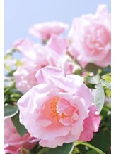 ゆめみし 淀屋橋odona店&nbsp;(121) 青木