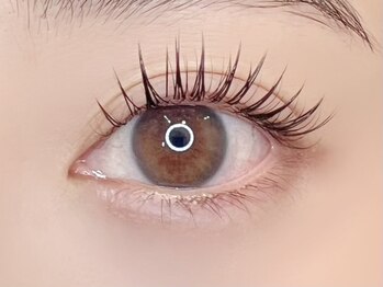 オヒメアイラッシュ 新宿(ohime eyelash)/パリエク バインドロック 60束 