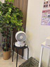 エクシアホワイトニング 代々木店/ホワイトニングサロンに扇風機